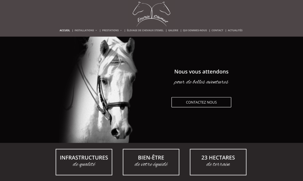 Site internet chevaux