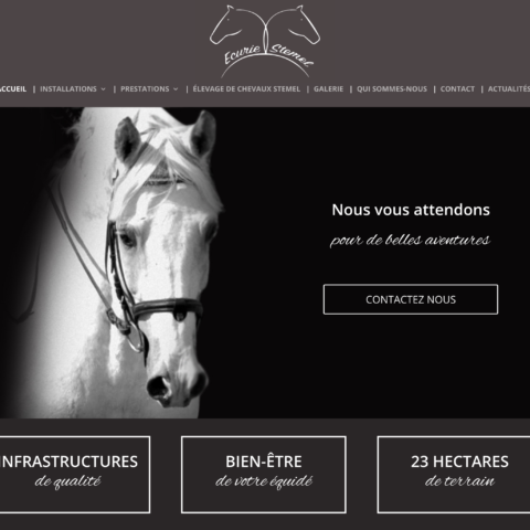 Site internet chevaux