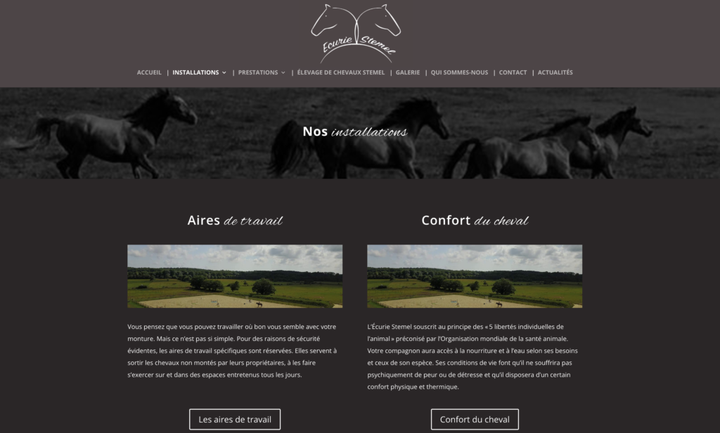 Site web ecurie chevaux 