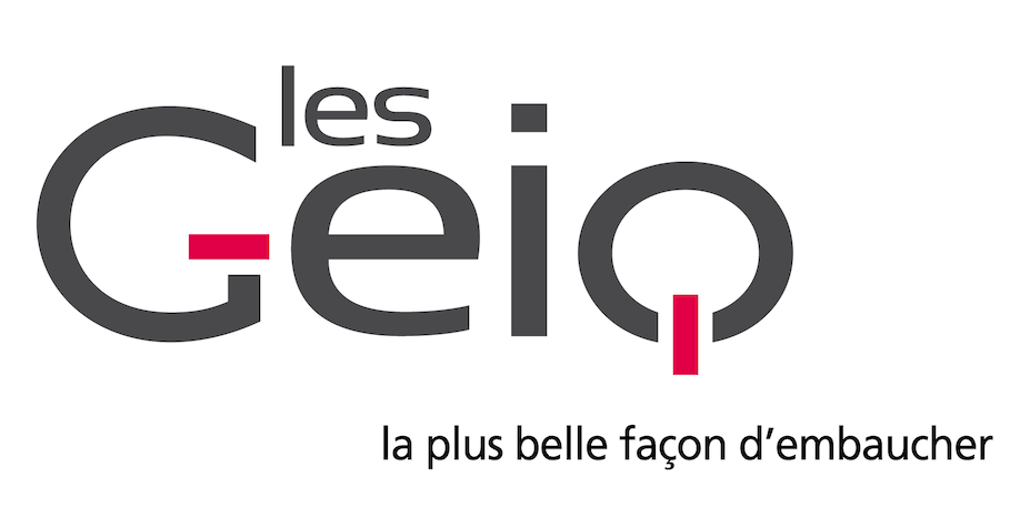 Logo les Geiq