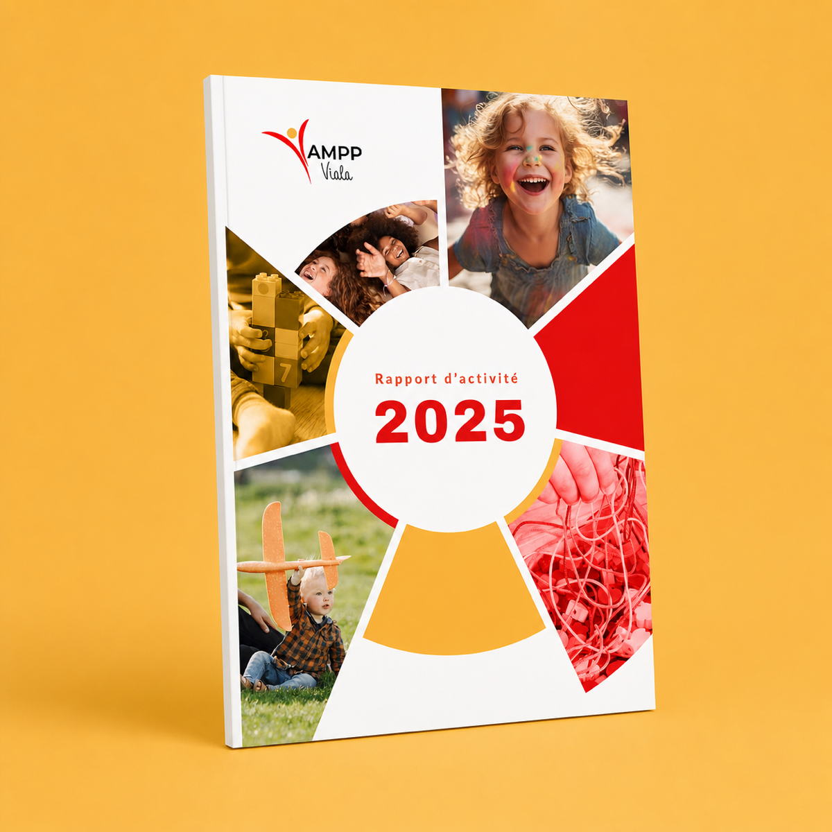 Rapport d’activité 2024 – AMPP Viala